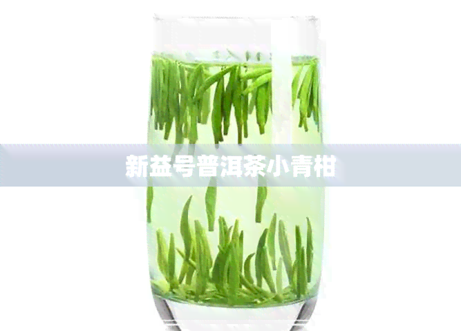 新益号普洱茶小青柑