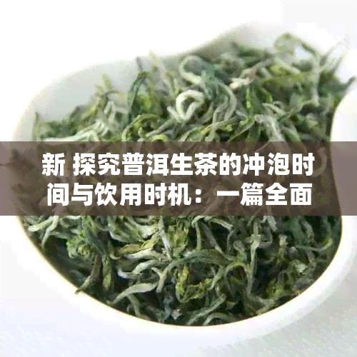 新 探究普洱生茶的冲泡时间与饮用时机：一篇全面指南