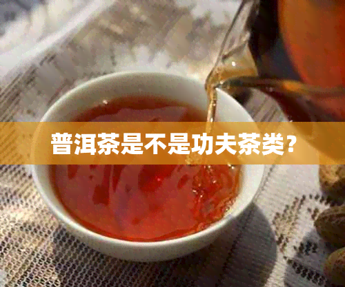 普洱茶是不是功夫茶类？