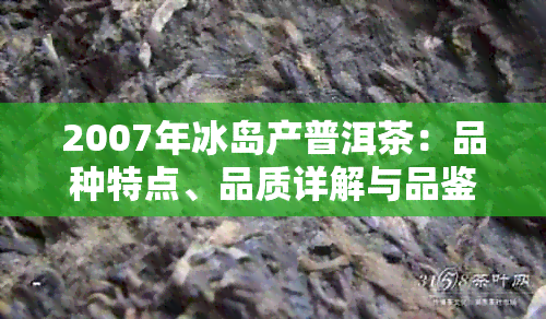 2007年冰岛产普洱茶：品种特点、品质详解与品鉴方法