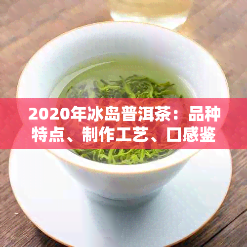 2020年冰岛普洱茶：品种特点、制作工艺、口感鉴与品饮技巧全面解析