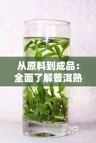 从原料到成品：全面了解普洱熟茶的工艺流程及其品质保证