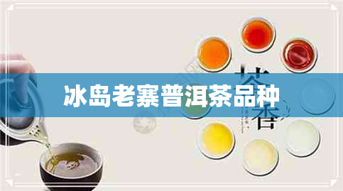 冰岛老寨普洱茶品种