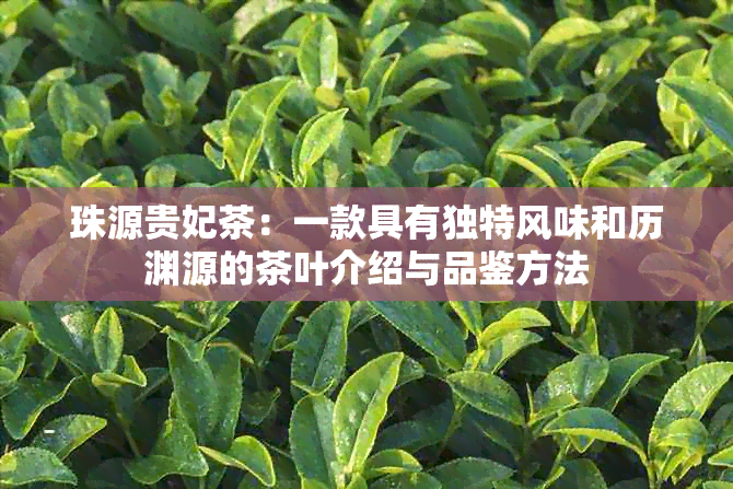 珠源贵妃茶：一款具有独特风味和历渊源的茶叶介绍与品鉴方法