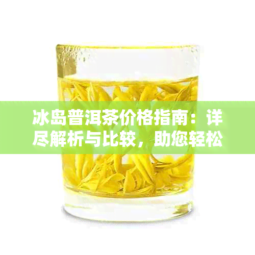 冰岛普洱茶价格指南：详尽解析与比较，助您轻松选购！