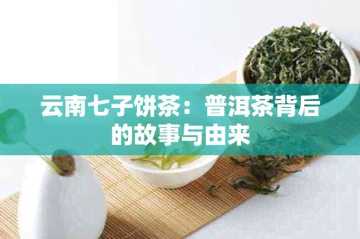 云南七子饼茶：普洱茶背后的故事与由来