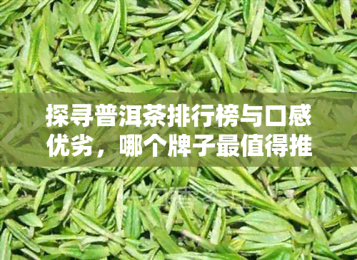 探寻普洱茶排行榜与口感优劣，哪个牌子最值得推荐？