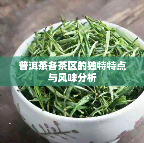 普洱茶各茶区的独特特点与风味分析