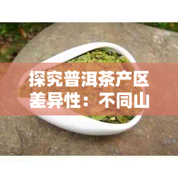 探究普洱茶产区差异性：不同山头茶叶的独特口感与特点