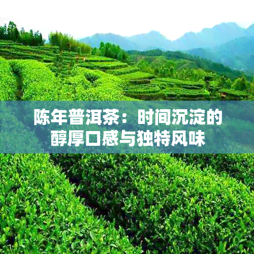 陈年普洱茶：时间沉淀的醇厚口感与独特风味