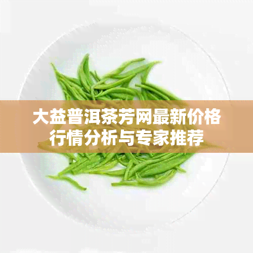 大益普洱茶芳网最新价格行情分析与专家推荐