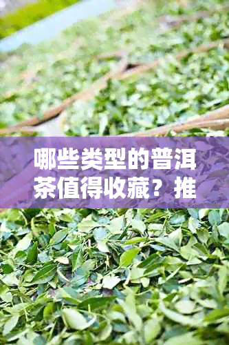 哪些类型的普洱茶值得收藏？推荐一些适合收藏的普洱茶款式