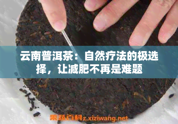 云南普洱茶：自然疗法的极选择，让减肥不再是难题