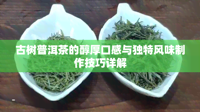 古树普洱茶的醇厚口感与独特风味制作技巧详解