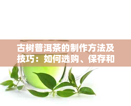 古树普洱茶的制作方法及技巧：如何选购、保存和品鉴优质古树普洱茶？