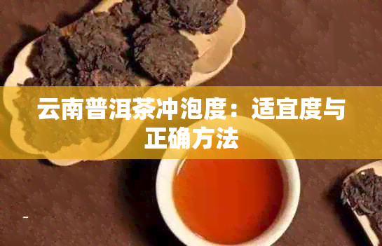 云南普洱茶冲泡度：适宜度与正确方法