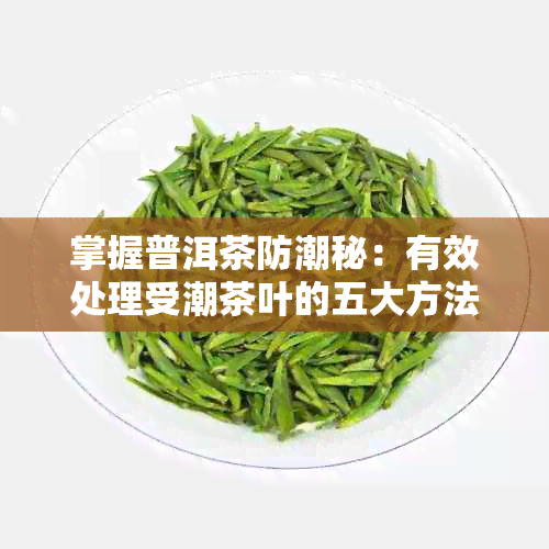 掌握普洱茶防潮秘：有效处理受潮茶叶的五大方法