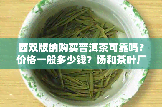 西双版纳购买普洱茶可靠吗？价格一般多少钱？场和茶叶厂有哪些？