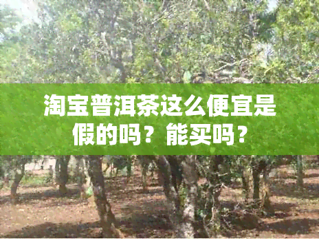 淘宝普洱茶这么便宜是假的吗？能买吗？