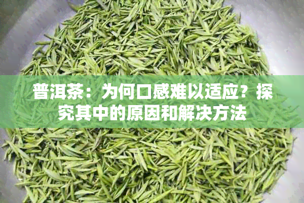 普洱茶：为何口感难以适应？探究其中的原因和解决方法