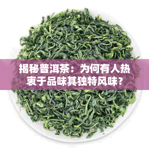 揭秘普洱茶：为何有人热衷于品味其独特风味？