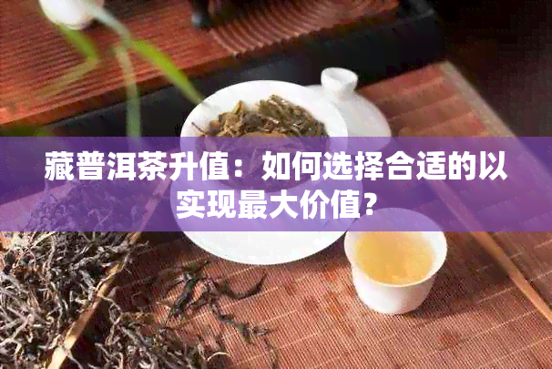 藏普洱茶升值：如何选择合适的以实现更大价值？