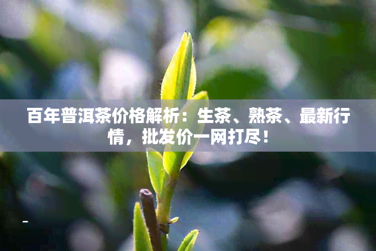 百年普洱茶价格解析：生茶、熟茶、最新行情，批发价一网打尽！