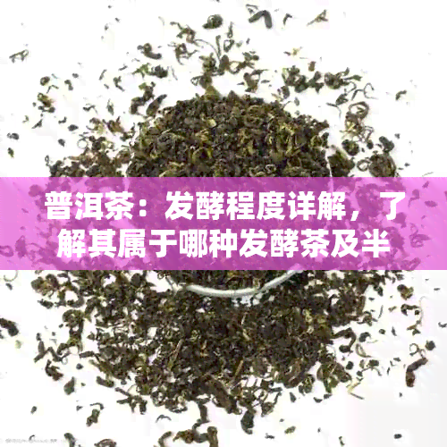 普洱茶：发酵程度详解，了解其属于哪种发酵茶及半发酵茶的原因