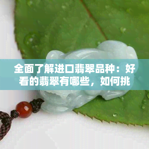 全面了解进口翡翠品种：好看的翡翠有哪些，如何挑选与鉴别？