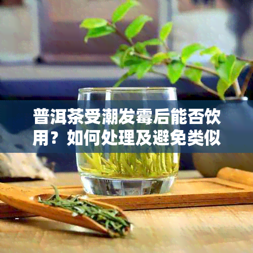 普洱茶受潮发霉后能否饮用？如何处理及避免类似问题发生？