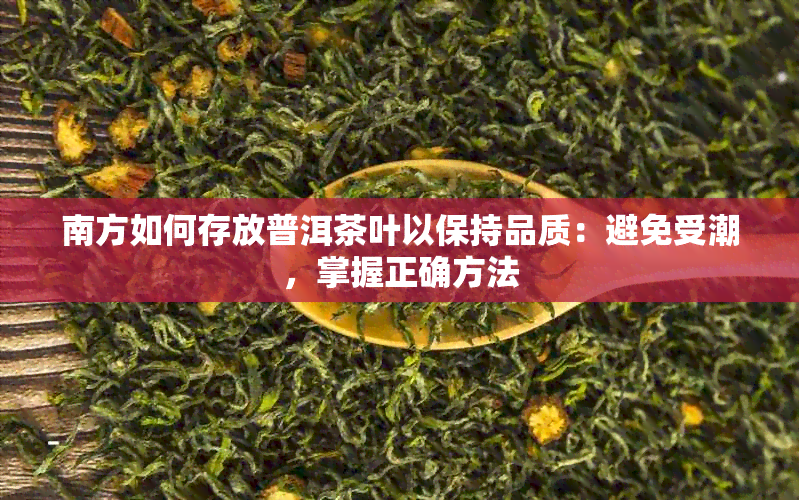 南方如何存放普洱茶叶以保持品质：避免受潮，掌握正确方法