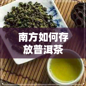 南方如何存放普洱茶