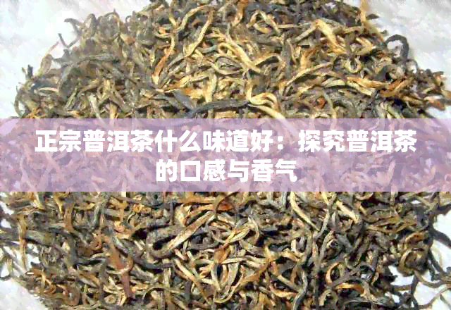 正宗普洱茶什么味道好：探究普洱茶的口感与香气