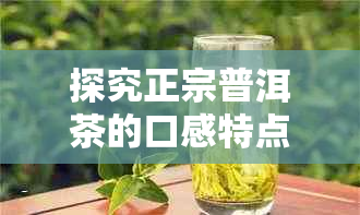 探究正宗普洱茶的口感特点及品味技巧，了解其独特的香气和风味