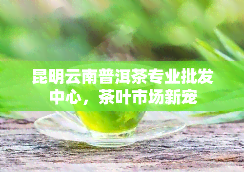 昆明云南普洱茶专业批发中心，茶叶市场新宠