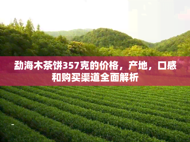 勐海木茶饼357克的价格，产地，口感和购买渠道全面解析