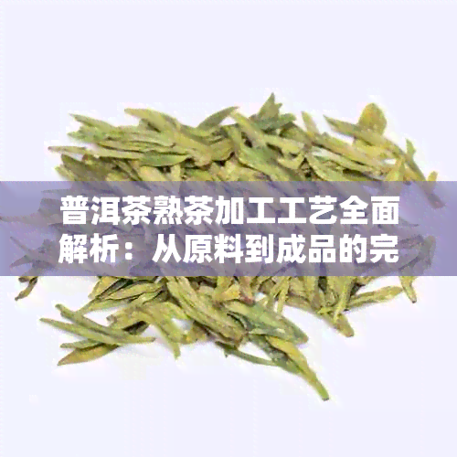 普洱茶熟茶加工工艺全面解析：从原料到成品的完整流程及关键技术