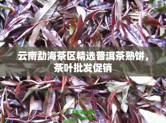 云南勐海茶区精选普洱茶熟饼，茶叶批发促销