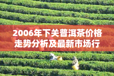 2006年下关普洱茶价格走势分析及最新市场行情