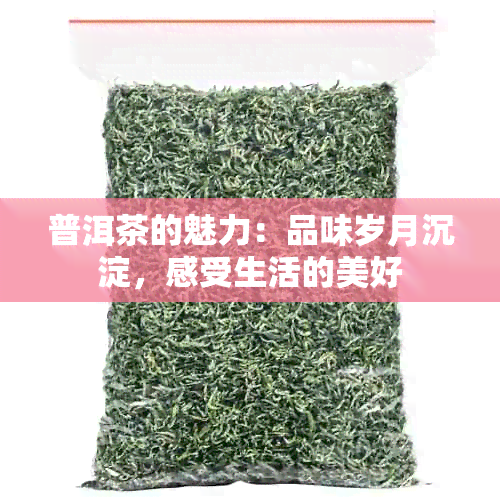 普洱茶的魅力：品味岁月沉淀，感受生活的美好