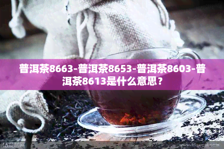 普洱茶8663-普洱茶8653-普洱茶8603-普洱茶8613是什么意思？