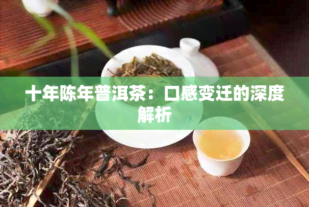 十年陈年普洱茶：口感变迁的深度解析