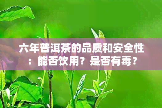 六年普洱茶的品质和安全性：能否饮用？是否有？