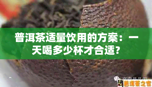 普洱茶适量饮用的方案：一天喝多少杯才合适？