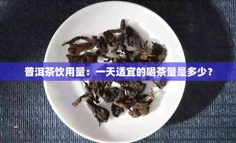 普洱茶饮用量：一天适宜的喝茶量是多少？