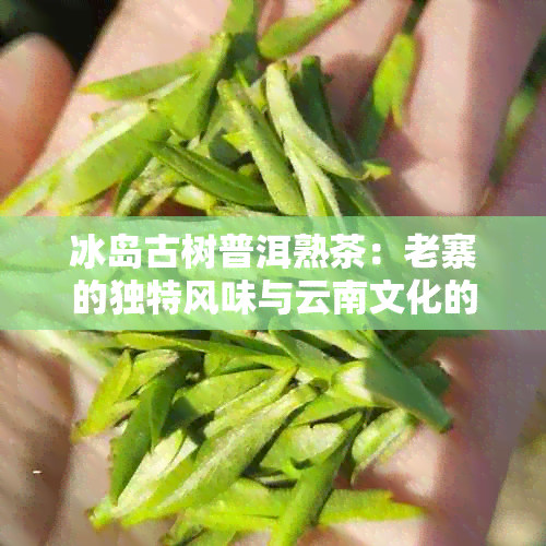 冰岛古树普洱熟茶：老寨的独特风味与云南文化的完美融合