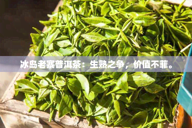 冰岛老寨普洱茶：生熟之争，价值不菲。