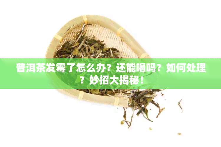 普洱茶发霉了怎么办？还能喝吗？如何处理？妙招大揭秘！