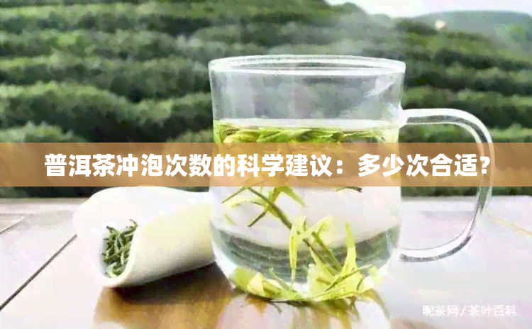 普洱茶冲泡次数的科学建议：多少次合适？