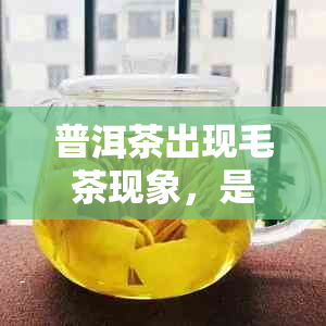 普洱茶出现毛茶现象，是否影响饮用效果及如何处理？